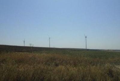 Teren de 5000 mp, în Vârlezi - 5