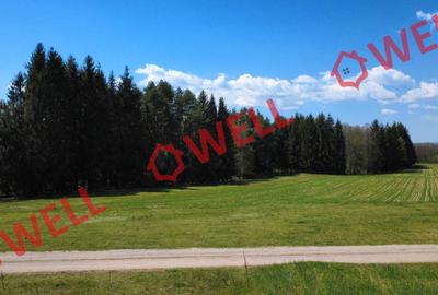 Teren agricol extravilan de 2900 mp, în Reci - 7