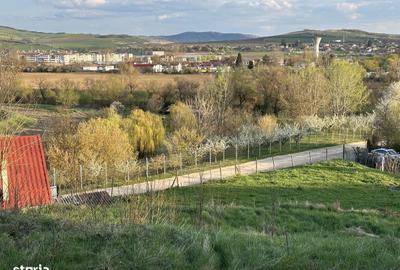 Spațiu comercial, în Cuștelnic - 2