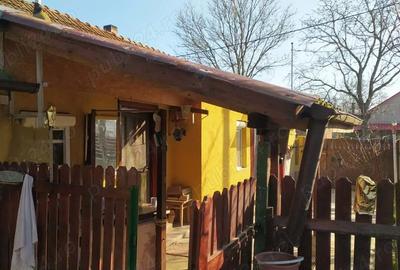 Casă cu Teren 1000 Mp în Sălard - 2