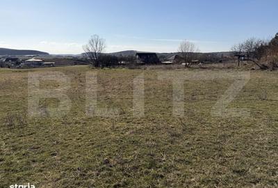 Spațiu comercial, în Badon - 1