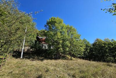 Cabana Lep?a, jud. Vrancea - Cheile Ti?i?ei - 3