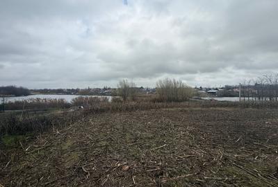 Teren 2.000 Mp | Ileana - Calarasi | Dubla Deschidere Stradala - 4