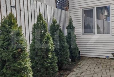 Apartament in vila, pe trei niveluri in Ghimbav - Brasov - 17