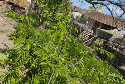 Casă cu 4 camere în Colibași - 7