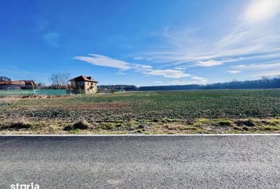 Teren de 1250 mp, în Snagov - 4