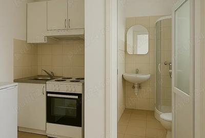 Proprietar vand garsoniera cu baie si bucatarie in interiorul camerei, 17 mp, zona Tesatura Podu Ros - 3