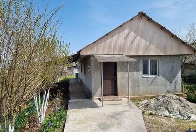 Casă cu 2 camere în Copaciu - 8