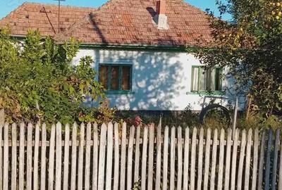 Casă cu 4 camere cu Teren 1000 Mp în Poienari (Poienarii de Argeș) - 9