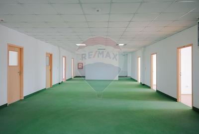 De vanzare Spatiu industrial de 10 129 mp Soseaua Borsului - 17