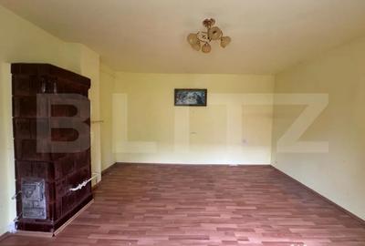 Casă cu 5 camere cu Teren 3000 Mp în Horea - 6