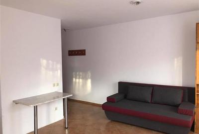 Apartament cu 2 camere semidecomandat, mobilat în Bună Ziua - 2