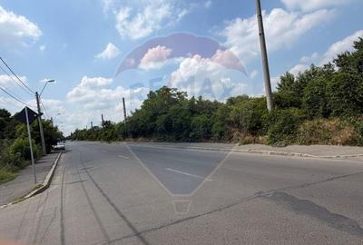 Teren Construcții intravilan de 50580 mp, în Giulești - 2