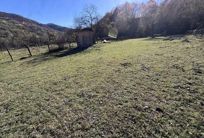 Spațiu comercial, în Uleni - 3