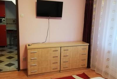 Apartament cu 2 camere decomandat în Sârbi - 1