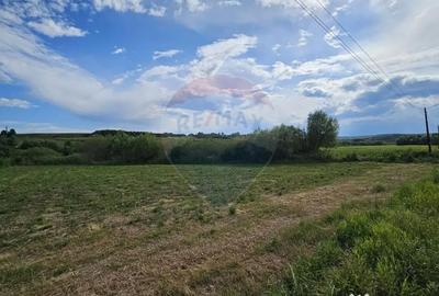 Teren de 12000 mp, în Pădureni (Șendriceni)