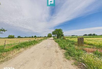 Teren de 5000 mp, în Gai - 8