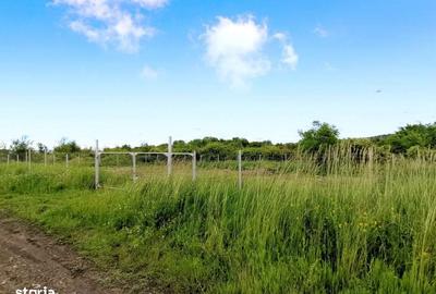 Spațiu comercial, în Bună Ziua - 1