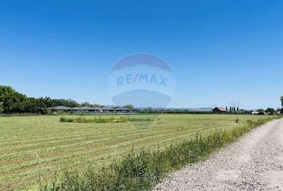 Teren intravilan 10.000 mp in Stupini, Brasov - 8