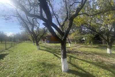 Casute Breaza, teren 1140 mp Casute Breaza, teren 1140 mp - 13