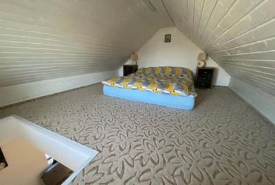 Casă cu 1 camere cu Teren 725 Mp în Dumbrăvița - 3