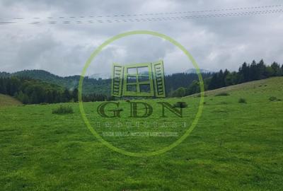 Parcele de vis in munti – Zona Arka Park, cu drum de acces si PUZ aprobat - 6