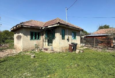 Casă cu Teren 2000 Mp în Gura Vadului - 4