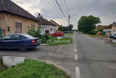 Gataia Teren Drept 1414 Mp Lot de Casa, 7 Euro Mp Gataia Teren Drept 1414 Mp Lot de Casa, 7 Euro Mp - 4