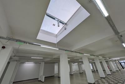 Spatiu comercial 800 mp -zona C. Brancoveanu - 9