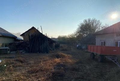 Casă cu Teren 2300 Mp în Daneți - 1