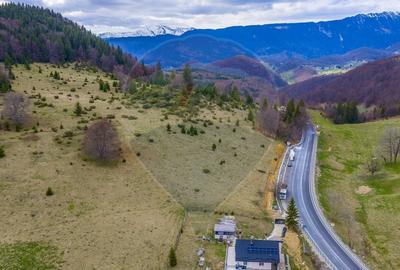 Teren agricol extravilan de 5768 mp, în Fundata - 9