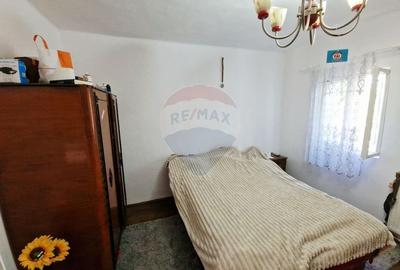 Casa si teren Zanesti - 9