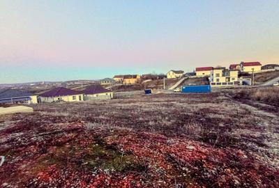 Teren Construcții intravilan de 1063 mp, în Paleu - 3