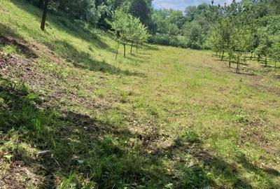 Teren de 2800 mp, în Micești - 1