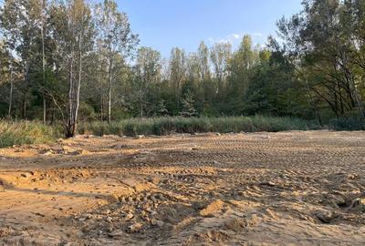 Teren 1667 MP | Zona Strand | Bulevard Dem Radulescu - 5