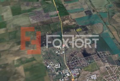 COMISION 0% Teren extravilan pretabil agricol, Sacalaz - Oportunitate investitie - 4