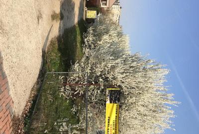 Teren de 550 mp, în Vitan - 5