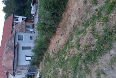 Proprietar, vand casa familiala cu teren in Cornesti, Craciunesti Mure? - 9