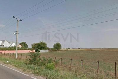 Teren Construcții intravilan de 10000 mp, în Dascălu - 1