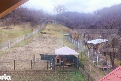 Casă cu 2 camere cu Teren 2100 Mp în Sântana de Mureș - 5
