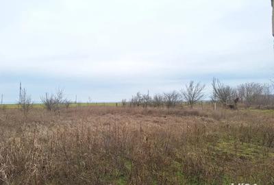 Casa netermina de vanzare - 5