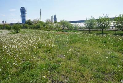 Teren Construcții intravilan de 4076 mp, în Sarasău - 10