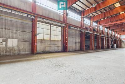 Hala industriala cu pod rulant ?i parcare betonata - 13