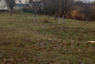 Teren intravilan Drajna 4062mp - 1