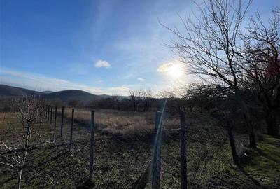 Teren Construcții intravilan de 1000 mp, în Telița - 8