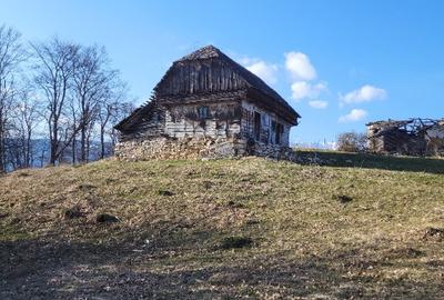 Teren intravilan 3 loturi de 6000, 2800 si 12000mp - 1