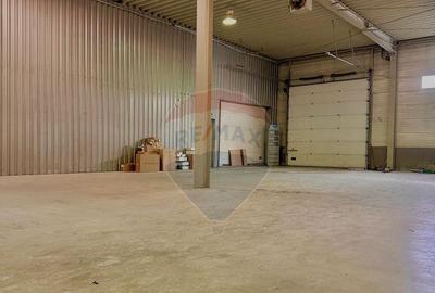 Spațiu comercial, de 450 mp, în Micălaca - 11