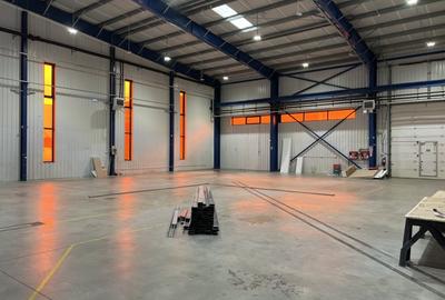 Hala clasa A / Autorizatie ISU /  Ideal productie - 9