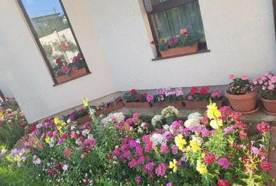 Casă cu 4 camere în Albești - 6