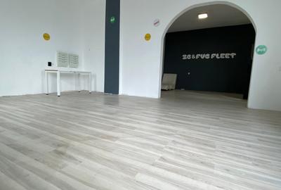 Bucurestii noi, casa 4 camere - 14